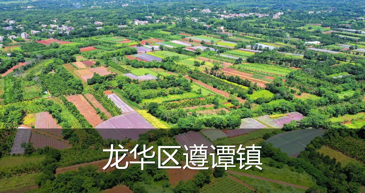 龙华区遵谭镇
