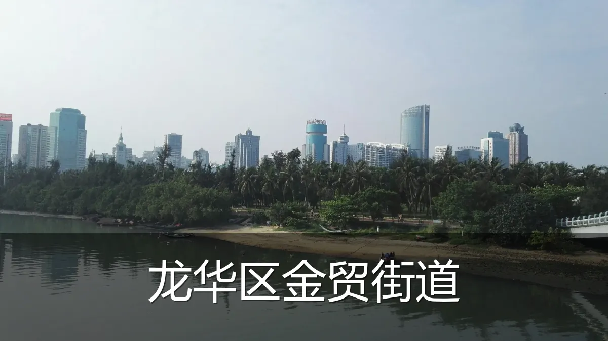 龙华区金贸街道